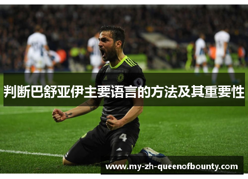 判断巴舒亚伊主要语言的方法及其重要性 判断巴舒亚伊主要语言的方法及其重要性