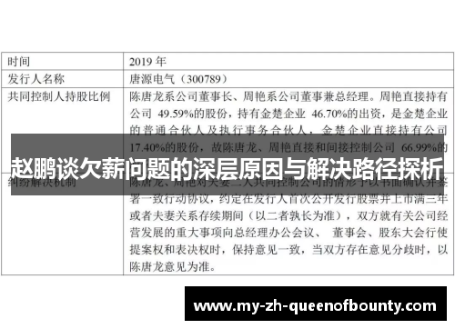 赵鹏谈欠薪问题的深层原因与解决路径探析