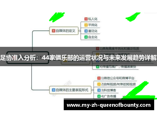 足协准入分析：44家俱乐部的运营状况与未来发展趋势详解